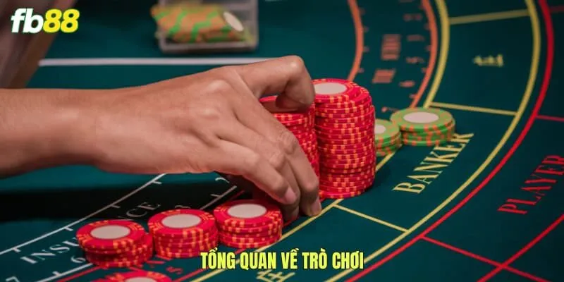 Tổng quan về trò chơi